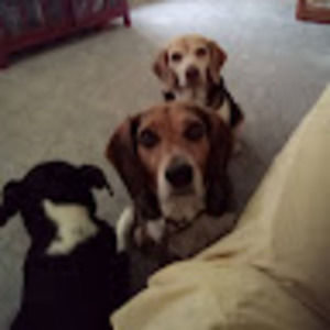 Meet your Posher, Joseph